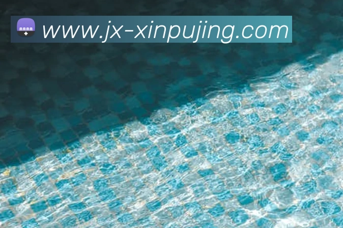 多媒体互动体验